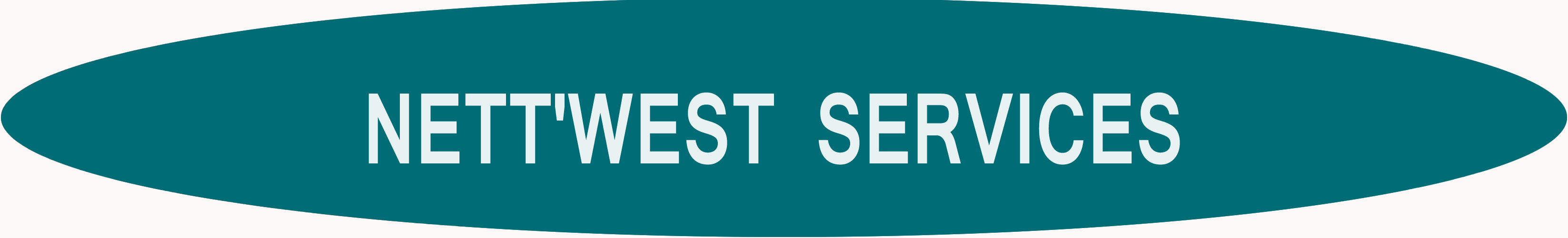 NETT WEST SERVICES