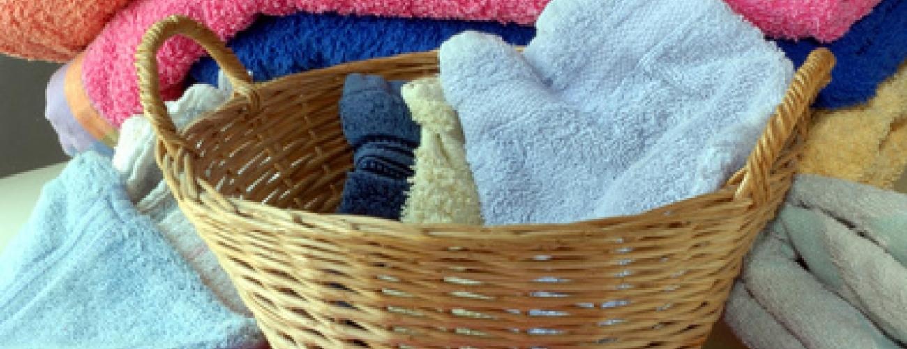 Services aux particuliers à Fougères, Liffré et Rennes, Ille et Vilaine (35)